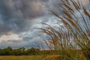 connemara meadow clouds tall grasses