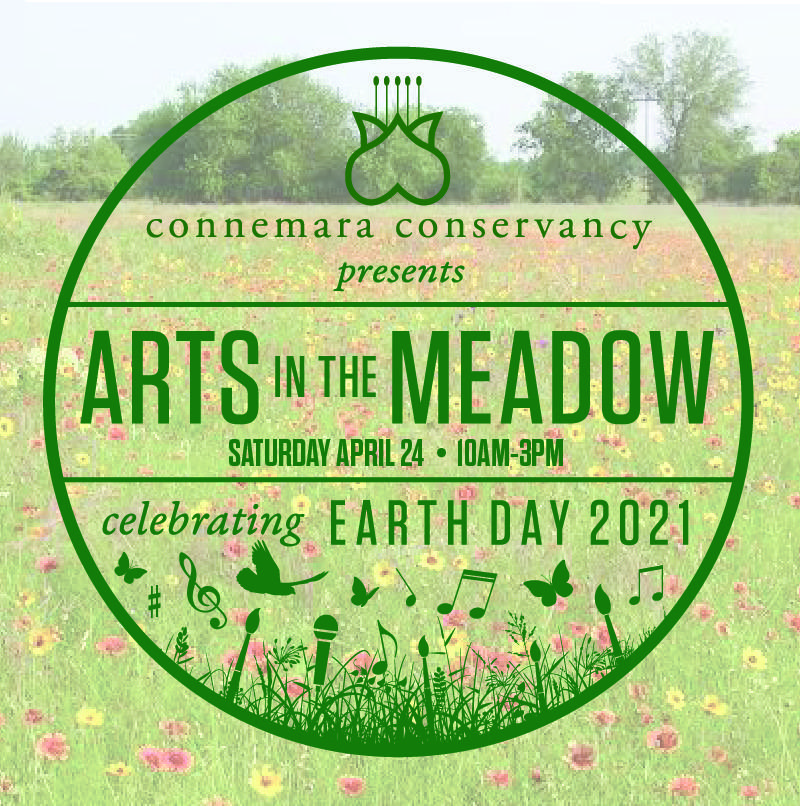 Arts in the Meadow Arts in the Meadow