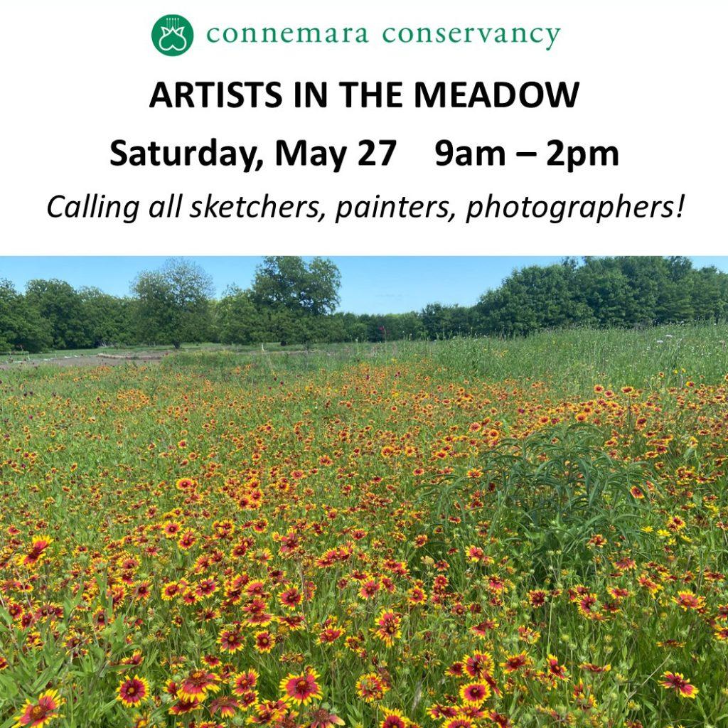 Artists in the Meadow COVER