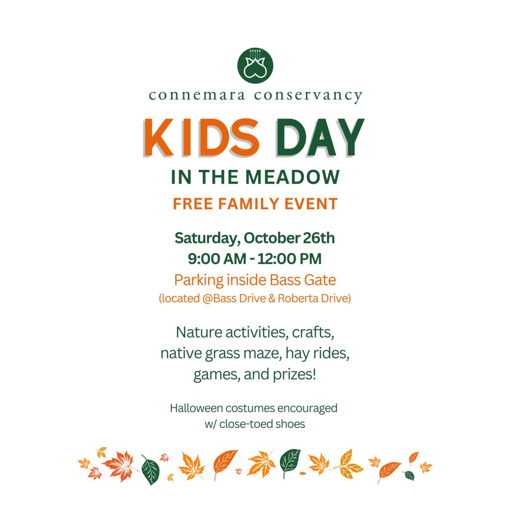 Kids Day in the meadow (2)