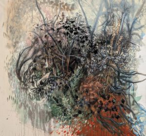 December 2024 Connemara Conservancy