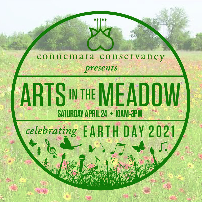 Arts in the Meadow