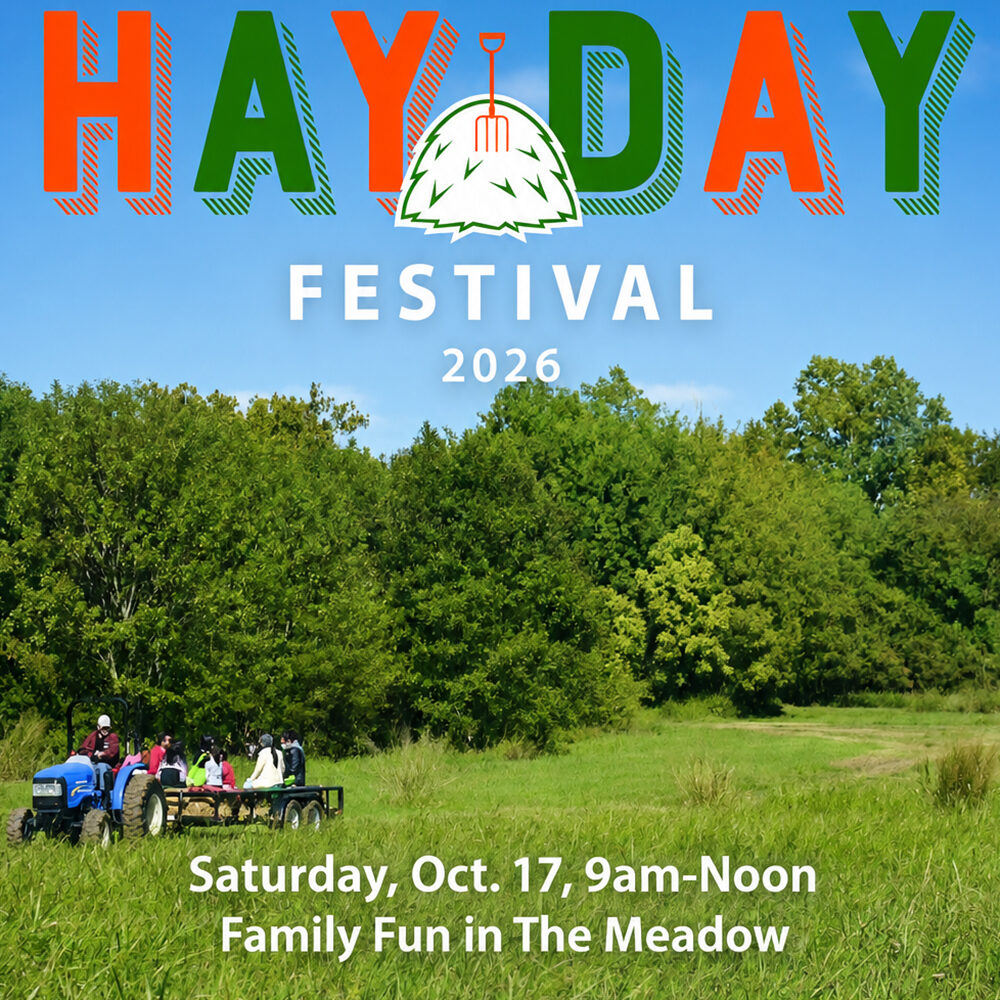 Hay day family fun 2026 square