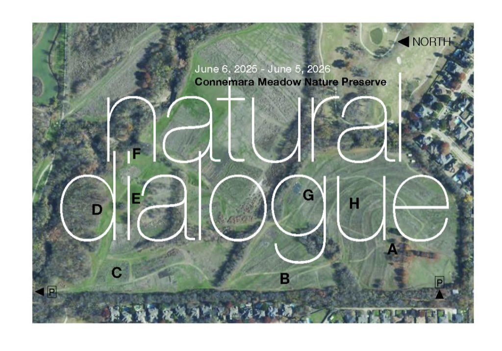 NaturalDialogueGraphic