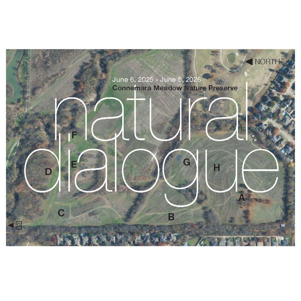 NaturalDialogueGraphic square