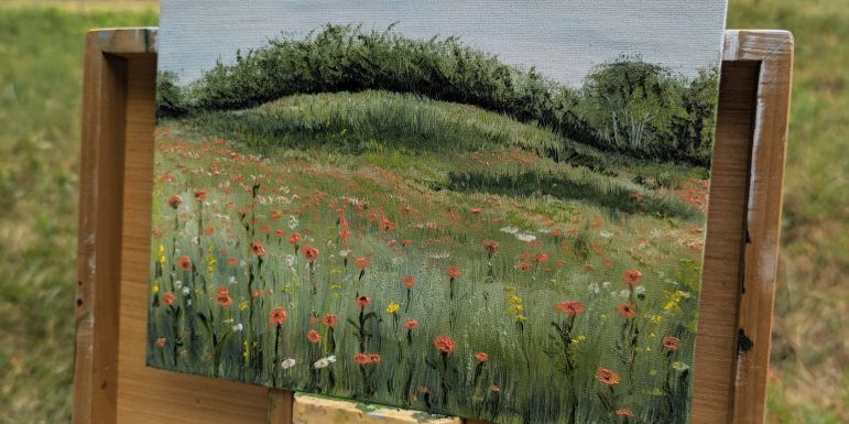 Tracy Warne Painting Connemara Meadow   |  
   tracywarne.com