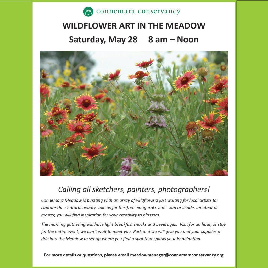 Wildflower Painting at Connemara 2000x2000