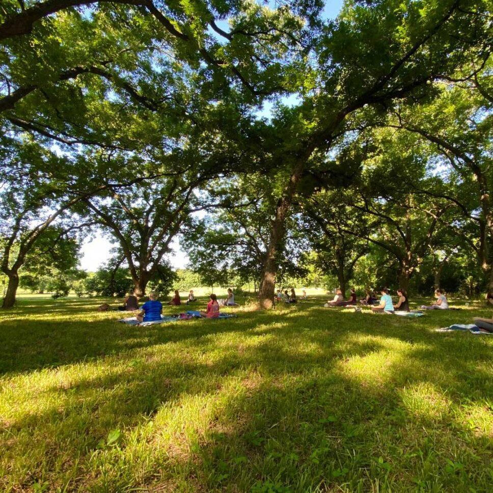 connemara conservancy yoga in the meadow 3